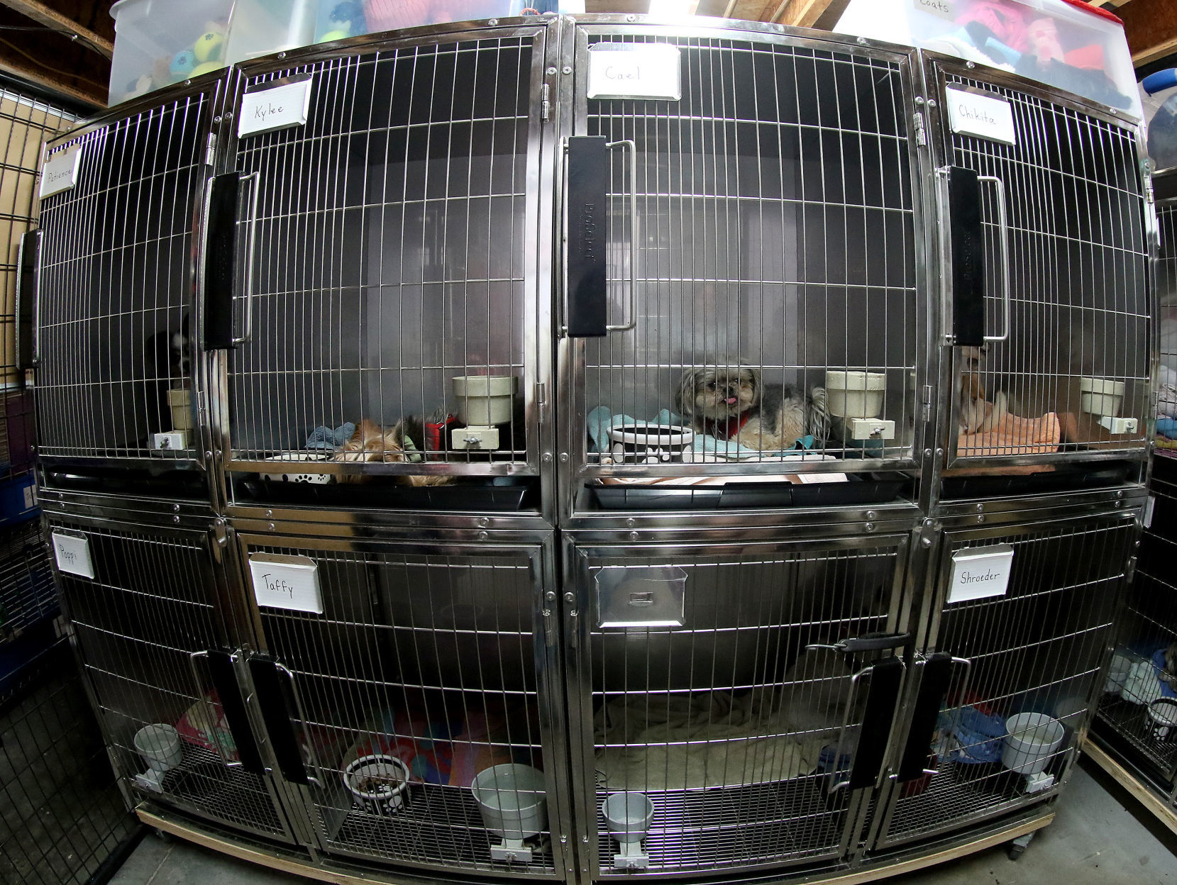 060518-qct-animal-sanctuary-007